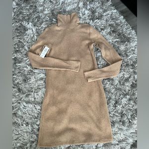 NWT Aritzia Sweater Dress